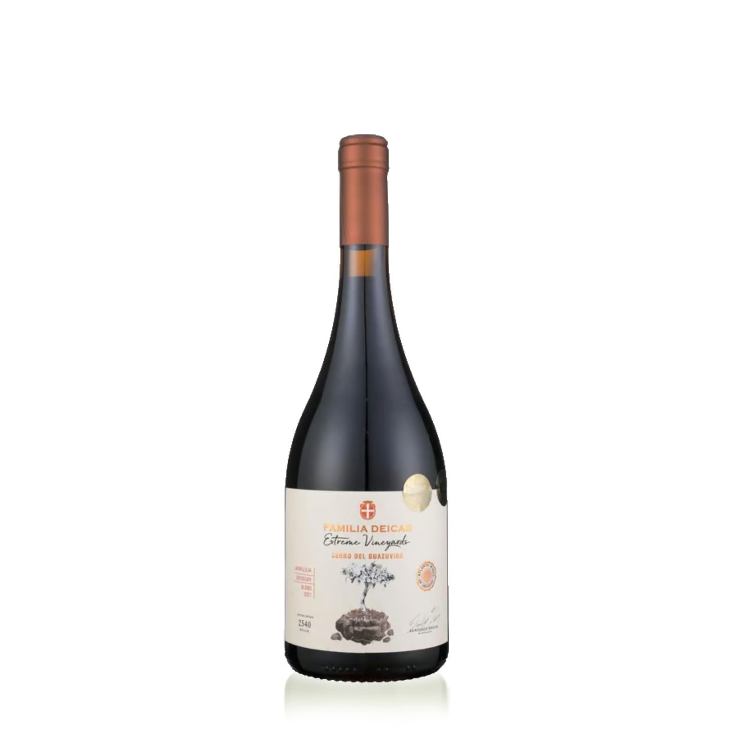 Familia Deicas Extreme Vineyards, Cerro del Guazuvirá