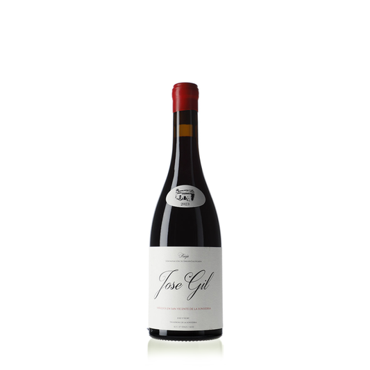 José Gil Rioja, Viñedos en San Vicente de la Sonsierra