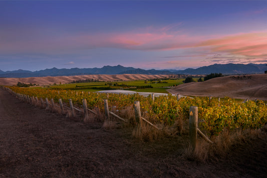 Settlement New Zealand wine and food tasting