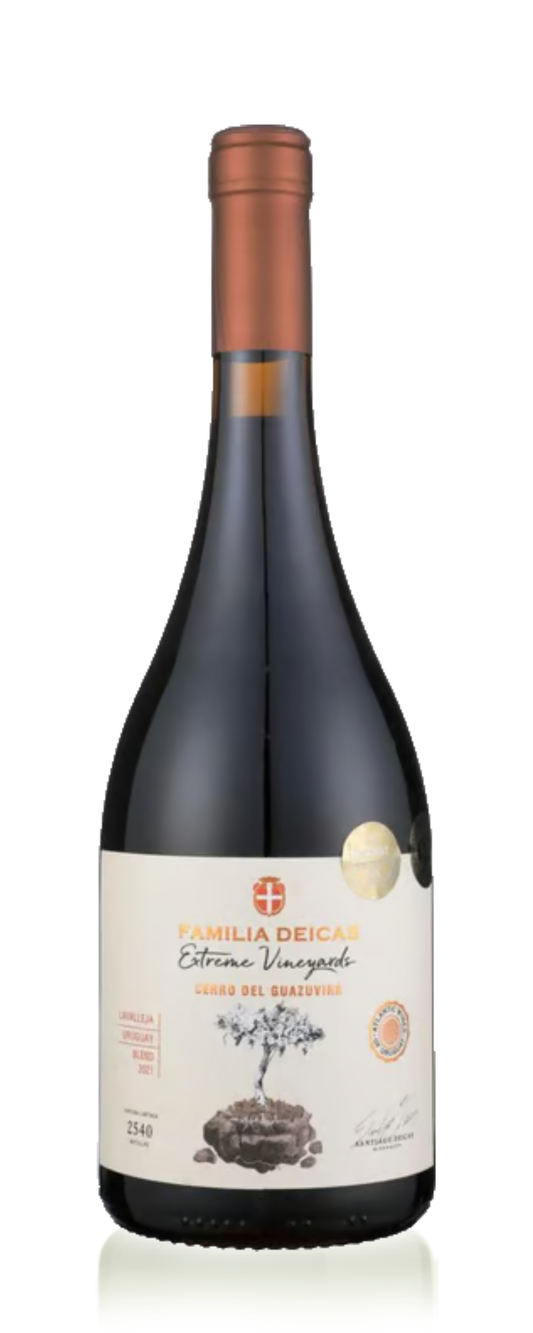 Familia Deicas Extreme Vineyards, Cerro del Guazuvirá
