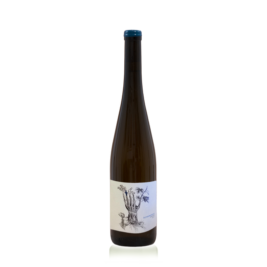 Soil Therapy, Schieferberg Riesling