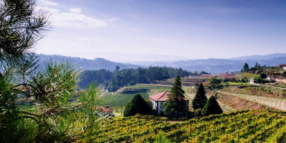 Vinho Verde wine tasting October 2026